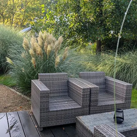 Chalet Ferienhaus Holland Beachhouse - Bad Hoophuizen Am Veluwemeer